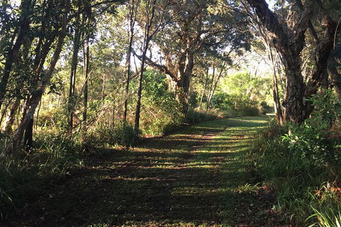 Coffs Harbour To Sawtell Bike Ride - Whitsundays Accommodation 7