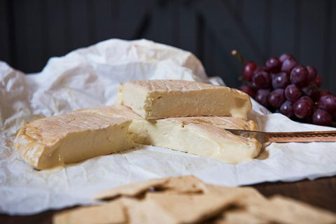 Artisan Cheese Tastings And Sales - Whitsundays Accommodation 8