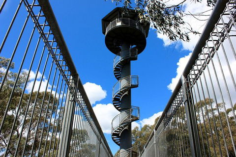 Illawarra Fly Treetop Adventures Admission Including Zipline Tour - Whitsundays Accommodation 3