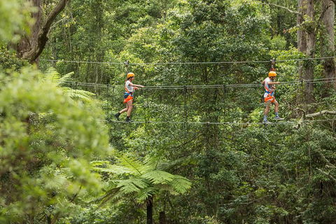 Illawarra Fly Treetop Adventures Admission Including Zipline Tour - Whitsundays Accommodation 0