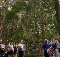 Breakfast Bushwalk Tour in Captain Cook's Monument