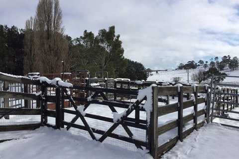 Paddock To Plate Farm Tour And Tasting - Whitsundays Accommodation 11