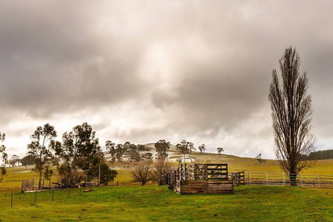 Paddock To Plate Farm Tour And Tasting - Whitsundays Accommodation 0