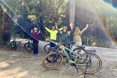 Guided E Bike Tour - Unicorn Falls & National Park - Whitsundays Accommodation 3