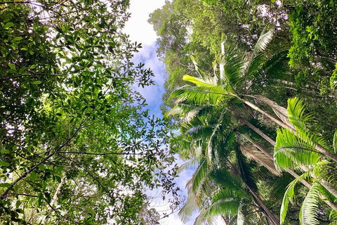 Guided E Bike Tour - Unicorn Falls & National Park - Whitsundays Accommodation 5