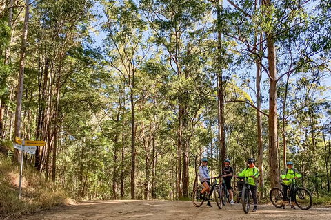 Guided E Bike Tour - Unicorn Falls & National Park - Whitsundays Accommodation 10