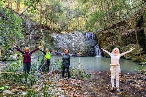 Guided E Bike Tour - Unicorn Falls & National Park - Whitsundays Accommodation 8