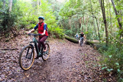 Guided E Bike Tour - Unicorn Falls & National Park - Whitsundays Accommodation 9