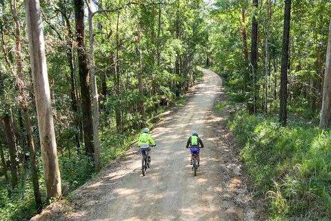 Guided E Bike Tour - Unicorn Falls & National Park - Whitsundays Accommodation 7