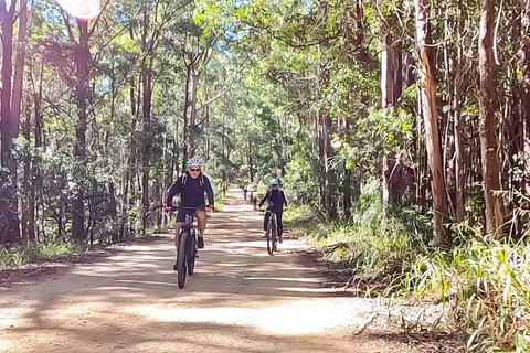 Guided E Bike Tour - Unicorn Falls & National Park - Whitsundays Accommodation 6