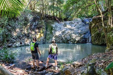 Guided E Bike Tour - Unicorn Falls & National Park - Whitsundays Accommodation 2