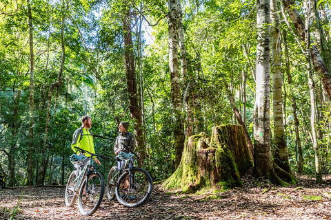 Guided E Bike Tour - Unicorn Falls & National Park - Whitsundays Accommodation 14