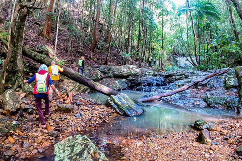 Guided E Bike Tour - Unicorn Falls & National Park - Whitsundays Accommodation 17