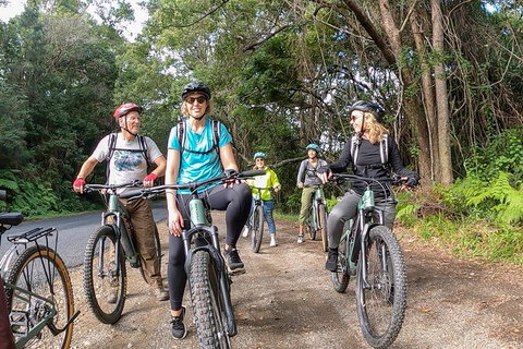 Guided E Bike Tour - Unicorn Falls & National Park - Whitsundays Accommodation 11