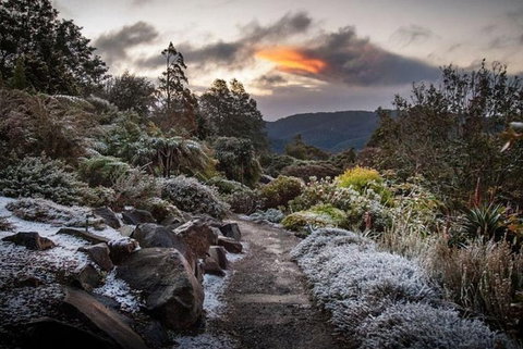 Blue Mountains Botanic Garden And Bilpin Tour From Katoomba With Cider Tasting - Whitsundays Accommodation 2