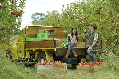Blue Mountains Botanic Garden And Bilpin Tour From Katoomba With Cider Tasting - Whitsundays Accommodation 0