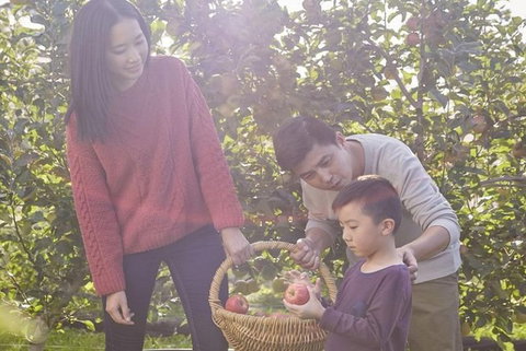 Blue Mountains Botanic Garden And Bilpin Tour From Katoomba With Cider Tasting - Whitsundays Accommodation 1