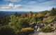 Blue Mountains Botanic Garden And Bilpin Tour From Katoomba With Cider Tasting - thumb 5