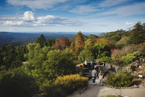 Blue Mountains Botanic Garden And Bilpin Tour From Katoomba With Cider Tasting - Whitsundays Accommodation 5