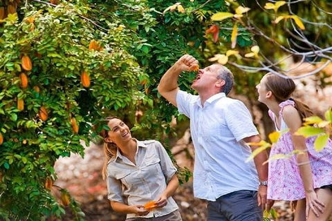Full-Day Guided Tour Byron Bay With Pickup - Whitsundays Accommodation 1