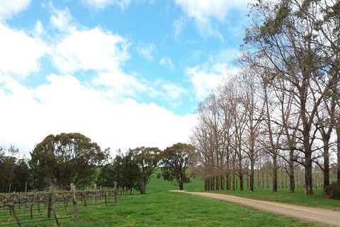 All-inclusive Morning Wine Tour In Orange - Whitsundays Accommodation 8