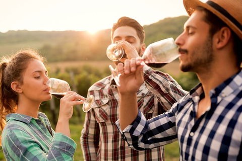 All-inclusive Morning Wine Tour In Orange - Whitsundays Accommodation 0