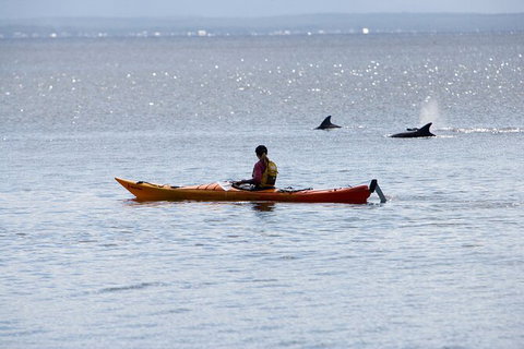 Half-Day Jervis Bay Sea Kayak Tour - Whitsundays Accommodation 4