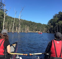 Canoes Cool Climate Wines  Canaps - Kangaroo Valley - Whitsundays Accommodation
