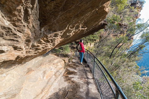 Blue Mountains Highlights & Wildlife Park - Whitsundays Accommodation 0