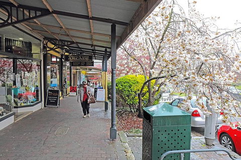 Blue Mountains Highlights & Wildlife Park - Whitsundays Accommodation 2