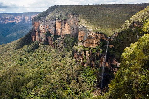 Blue Mountains Highlights & Wildlife Park - Whitsundays Accommodation 9