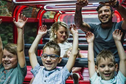 Blue Mountains Highlights, Wildlife Park And Scenic World Full Day Private Tour - Whitsundays Accommodation 5