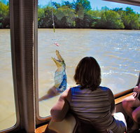 Jumping Crocs  Nature Adventure Cruise from Darwin - Whitsundays Accommodation