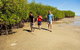 Crossing Country 5 Day Yolngu Homeland Tour - thumb 6