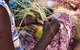 Crossing Country 5 Day Yolngu Homeland Tour - thumb 8