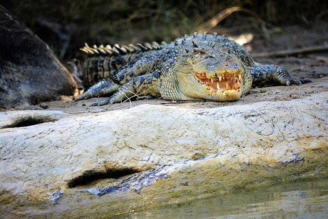 Ethical Adventures - Kakadu 2 Day- Max 10 Guests - Whitsundays Accommodation 3