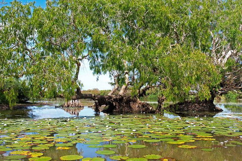 Ethical Adventures - Kakadu 2 Day- Max 10 Guests - Whitsundays Accommodation 10