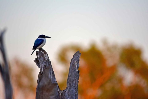 Ethical Adventures - Kakadu 2 Day- Max 10 Guests - Whitsundays Accommodation 4