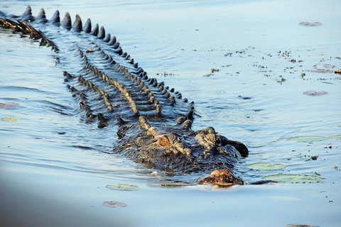 Ethical Adventures - Kakadu 2 Day- Max 10 Guests - Whitsundays Accommodation 8