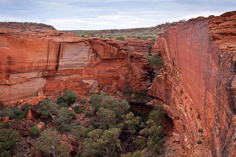Uluru, Kata Tjuta And Kings Canyon Camping Safari From Alice Springs - Whitsundays Accommodation 4