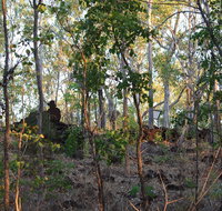World War II Beyond Darwin - Whitsundays Accommodation