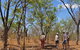 World War II Beyond Darwin - thumb 4