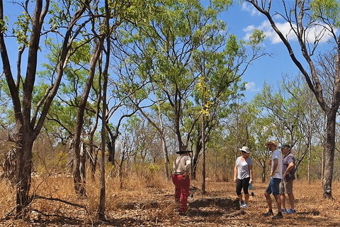 World War II Beyond Darwin - Whitsundays Accommodation 4