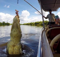 Pathfinder Jumping Crocodile Cruise Shuttle Bus - Whitsundays Accommodation