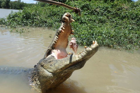 Jumping Crocodile Day Trip From Darwin - Whitsundays Accommodation 2