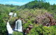 Darwin: Premium Litchfield Regional 11 Hours Tour - thumb 5