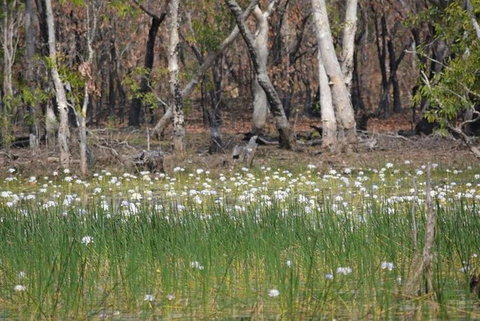 Darwin: Premium Litchfield Regional 11 Hours Tour - Whitsundays Accommodation 4