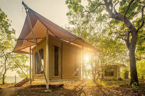 5 Day Kakadu National Park And Arnhem Land Tour - Whitsundays Accommodation 7