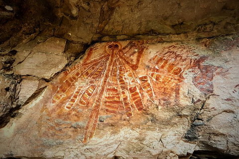 Arnhem Land Injalak Hill Full-Day Tour From Darwin - Whitsundays Accommodation 1