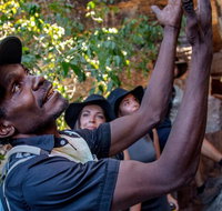Arnhem Land Injalak Hill Full-Day Tour from Darwin - Whitsundays Accommodation